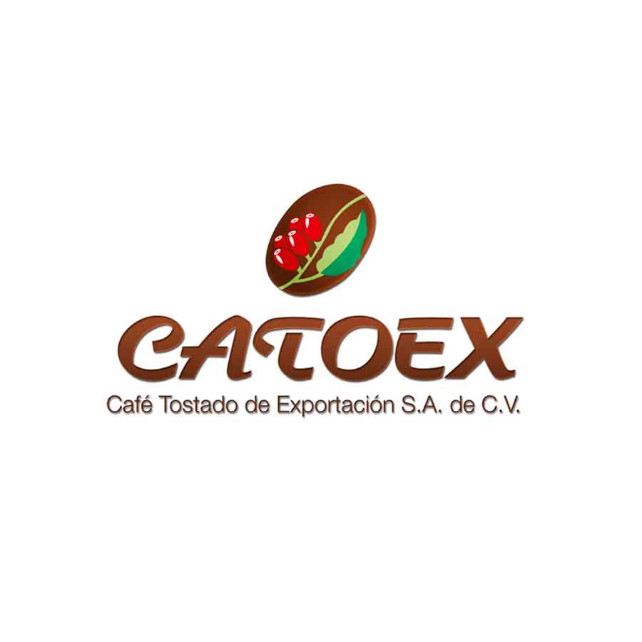 Logo 12